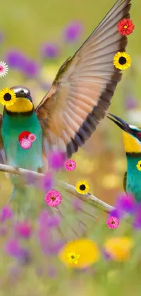 Bird Flower Pollinator Live Wallpaper