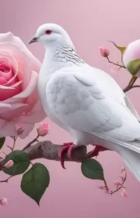 Bird Flower White Live Wallpaper