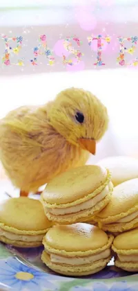 Bird Food Baked Goods Live Wallpaper