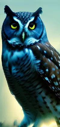 Experience the wild beauty of nature with this stunning live wallpaper featuring a blue owl perched atop a tree branch