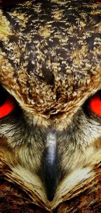 Get mesmerized by this stunning live wallpaper featuring a powerful owl with burning red eyes