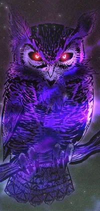 Bird Great Horned Owl Purple Live Wallpaper