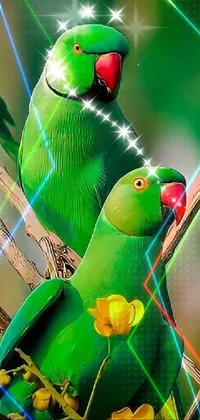 Bird Green Beak Live Wallpaper