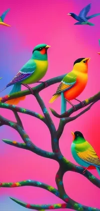 Bird Green Nature Live Wallpaper