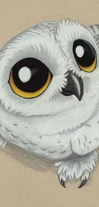 This live phone wallpaper features a cute white owl with yellow eyes perched on a branch under a starry, dark blue sky