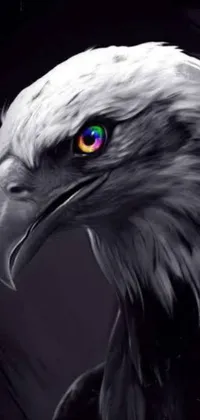 This live wallpaper for smartphones depicts a digital artwork of an eagle with captivating colored eyes
