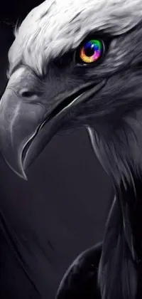Bird Grey Beak Live Wallpaper