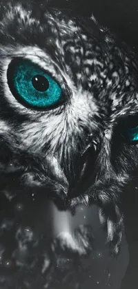 This live wallpaper for your phone showcases a stunningly detailed and mysterious image of an owl
