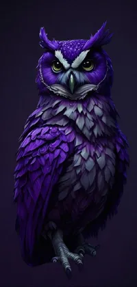 Bird Head Purple Live Wallpaper