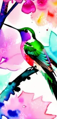 Bird Hummingbird Nature Live Wallpaper