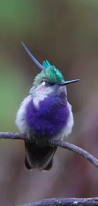 This phone live wallpaper features a vibrant bird perched on a tree branch, surrounded by delicate flowers and leaves swaying in the wind