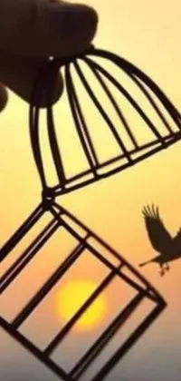 This phone live wallpaper showcases a bird in a cage yearning for freedom
