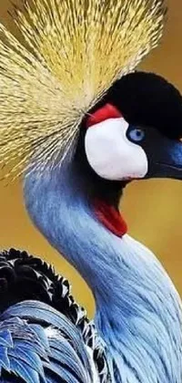 This phone live wallpaper showcases a stunning close-up of a unique bird with a mohawk on its head
