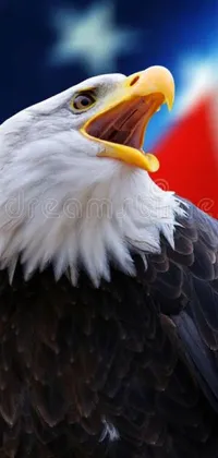 This mobile live wallpaper showcases a bald eagle headshot set against a waving American flag