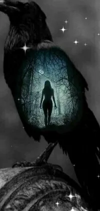 This live phone wallpaper showcases gothic art with a black bird on a wooden pole and a woman in a dark forest through broken glass