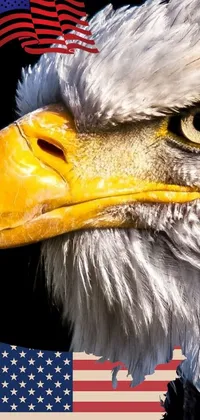 Looking for a live wallpaper that exudes patriotism and showcases the majestic beauty of the bald eagle? Look no further! Our phone live wallpaper features a stunning portrait of a bald eagle with an American flag in the background