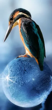This phone live wallpaper features a realistic photograph of a bird perched on a glowing blue ball, set against an icy planet