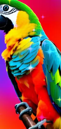 Bird Light Macaw Live Wallpaper