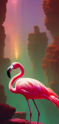 This stunning live wallpaper features a pink flamingo standing on the edge of a canyon, surrounded by vibrant glowing colors