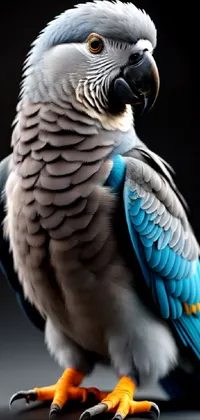Bird Light Neck Live Wallpaper