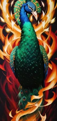 Bird Light Peafowl Live Wallpaper