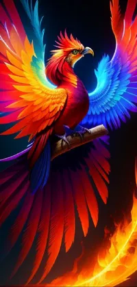 Bird Light Phasianidae Live Wallpaper