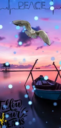 Bird Light Sky Live Wallpaper