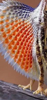 Turn your phone into a captivating wildlife scene with this live wallpaper! Featuring an up-close shot of a stunning lizard adorned in an intricate white and orange breastplate, vivid red and orange scales, and intricate wings that stand out against a blurry greenery backdrop