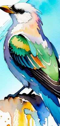 Bird Liquid Beak Live Wallpaper