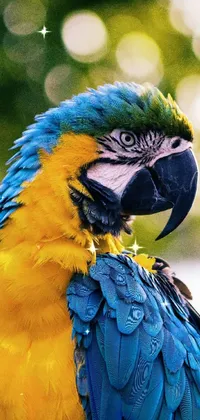 This live phone wallpaper showcases a stunning portrait of a blue and yellow parrot perched on a tree branch