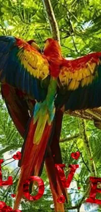 Bird Macaw Plant Live Wallpaper