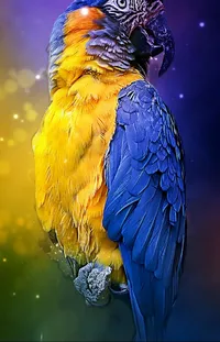 Bird Macaw Water Live Wallpaper