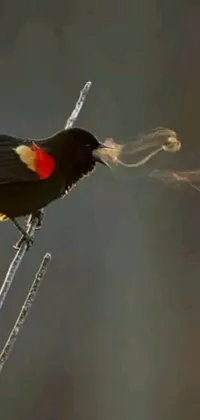 This live phone wallpaper depicts a black bird perched on a tree branch amidst marijuana smoke