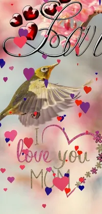 Bird Nature Branch Live Wallpaper