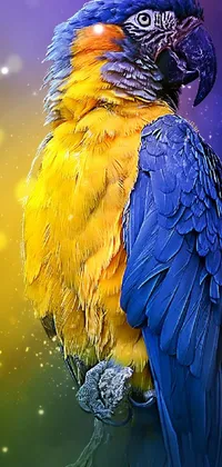 This live phone wallpaper features a colorful bird sitting on a tree branch with shining rainbow feathers