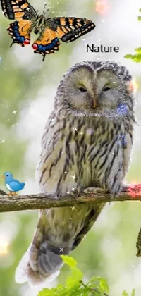 Owl in nature Live Wallpaper