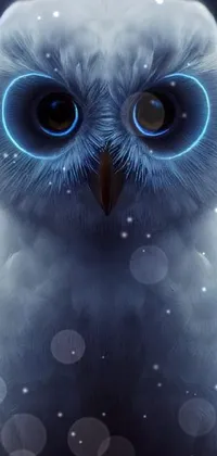 Bird Nature Owl Live Wallpaper