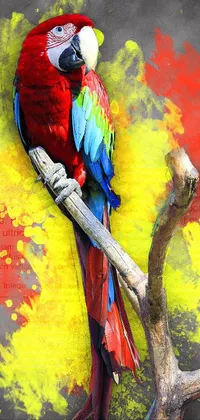 Bird Nature Paint Live Wallpaper