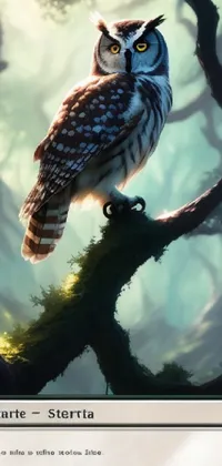 owl pokemon card Live Wallpaper