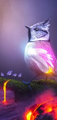 This live wallpaper features a realistic bird perched on a neon-lit tree branch surrounded by neon fog