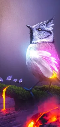 This phone live wallpaper features a stunning digital art piece of a bird sitting on a branch