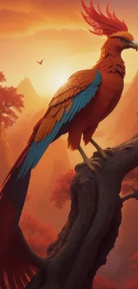 Bird Orange Beak Live Wallpaper - free download