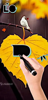 Bird Orange Gesture Live Wallpaper