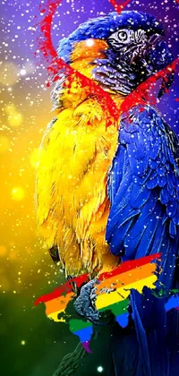 Bird Organism Art Paint Live Wallpaper
