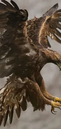 This stunning live wallpaper depicts a photorealistic painting of a powerful bird in flight