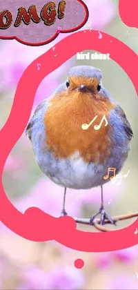 Bird Organism Cartoon Live Wallpaper