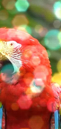 Get a stunning and animated live wallpaper for your phone! This wallpaper features a beautiful and colorful parrot sitting on a textured wooden tree branch