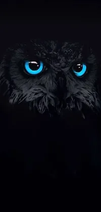 The phone live wallpaper showcases a stunning digital artwork of an owl with striking blue eyes in the darkness