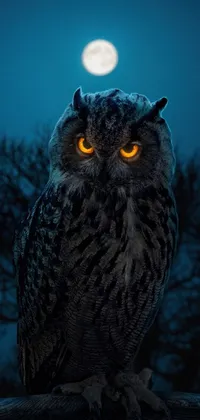 This phone live wallpaper features a high-quality digital art image of a striking owl sitting on a textured branch with a full moon in the background