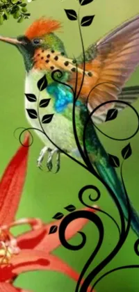 This phone live wallpaper depicts a hummingbird perched on a red flower